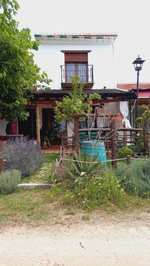 Jardines Del Acebron Guest House El Rocío Екстериор снимка